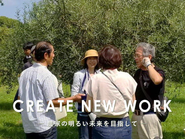 オリーブの木】 2本セット 福岡 九州で農園の管理、苗の管理、栽培